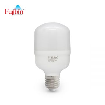 Fujibin LED Light Bulb 